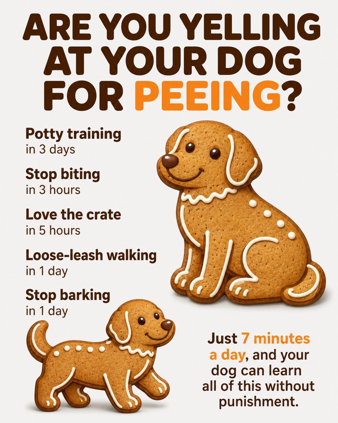 Ben Your Puppy Trainer Facebook ad
