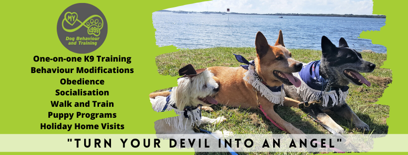 MY K999 Facebook ad: Turn your Devil into an Angel