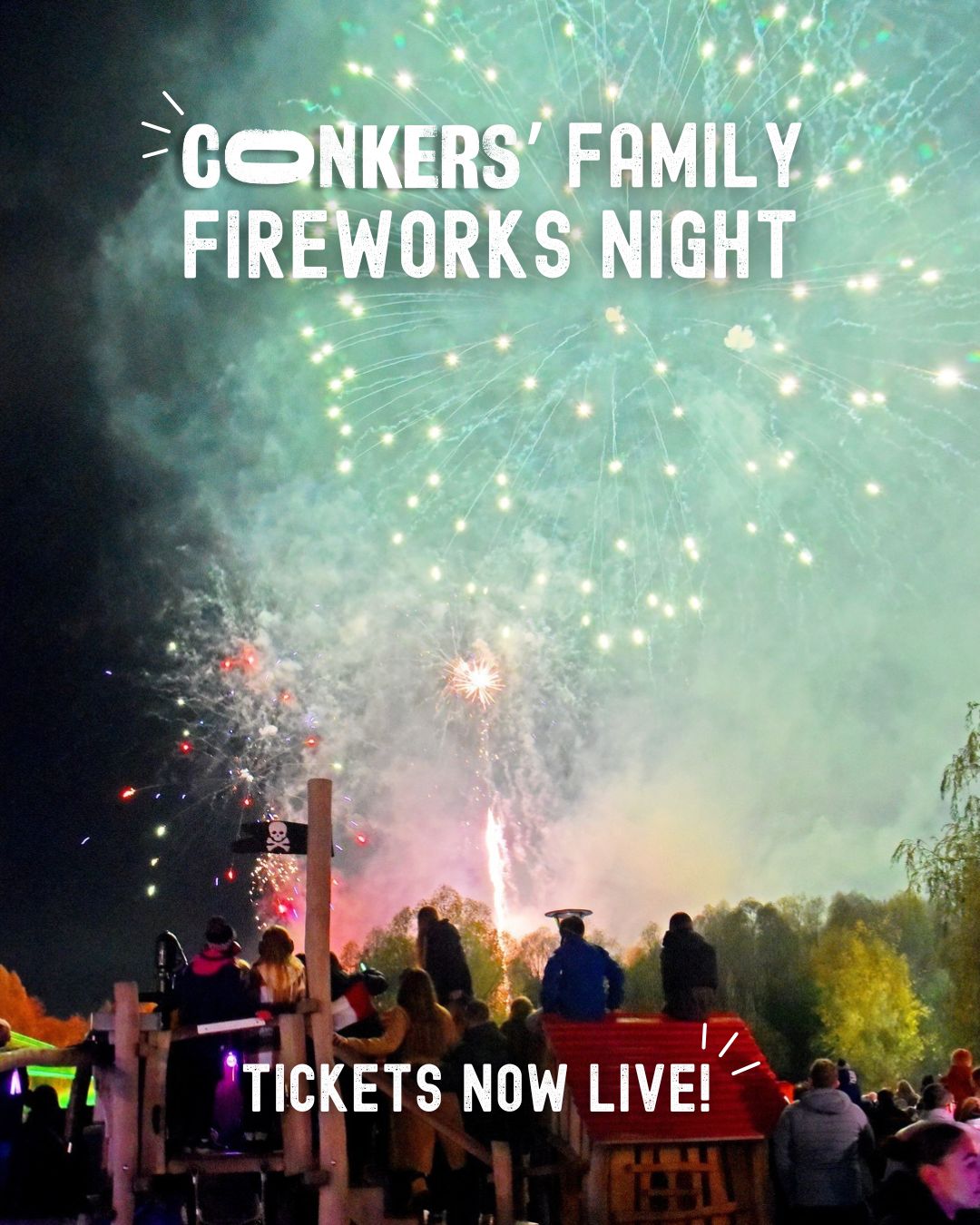 Visit Conkers Facebook ad: Family Fireworks in the Forest