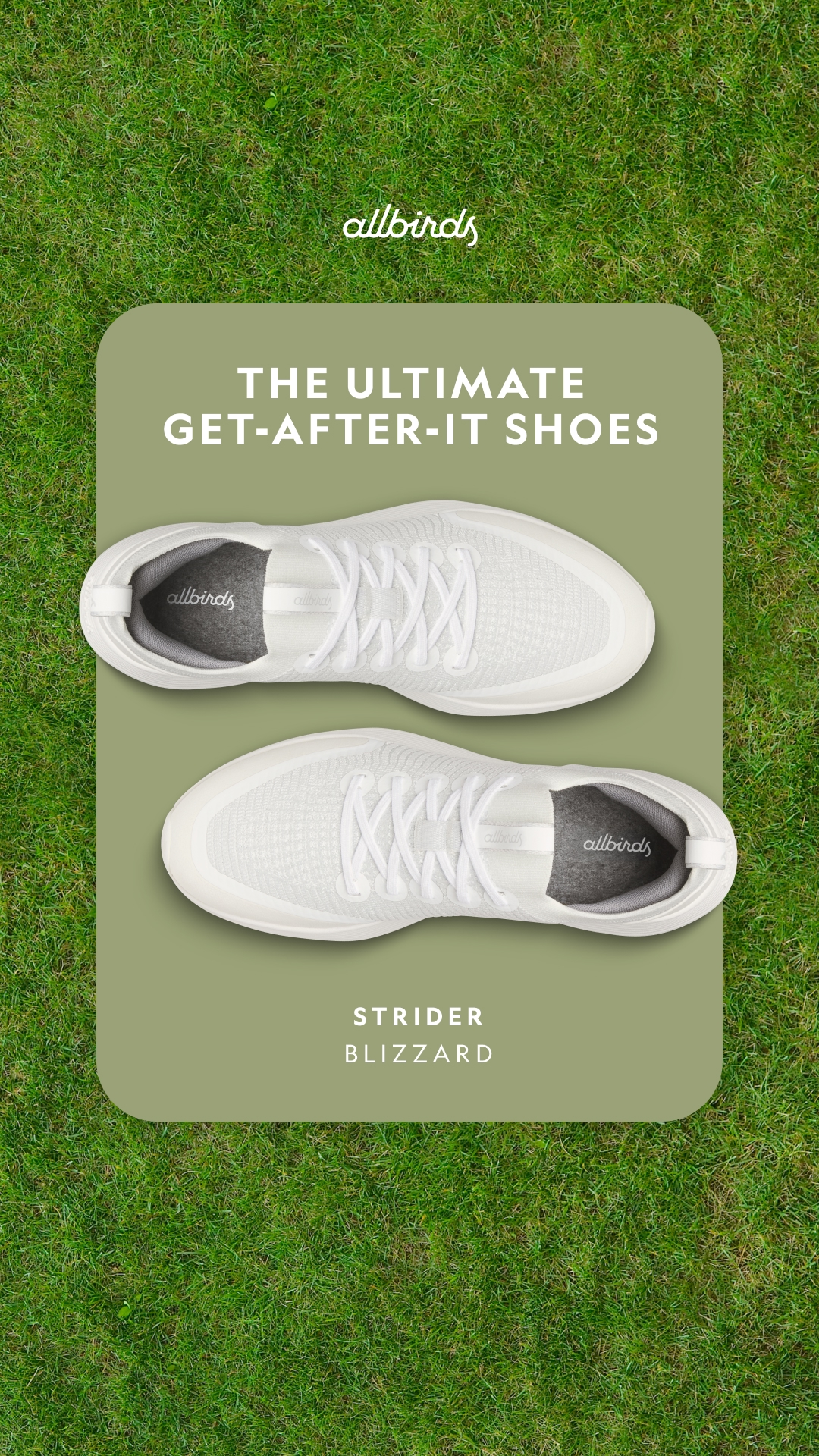 Allbirds Facebook ad
