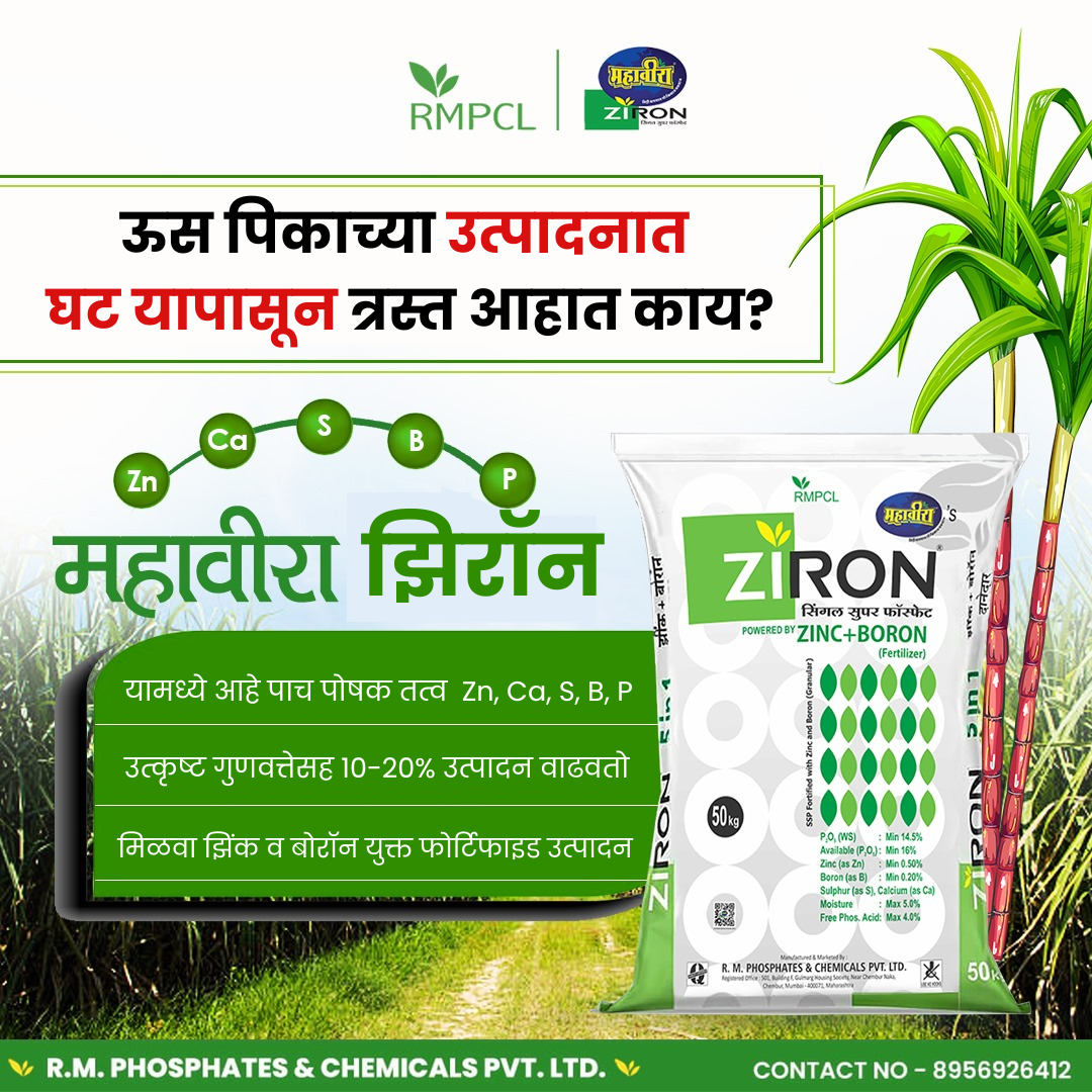 Mahaveera Ziron Facebook ad