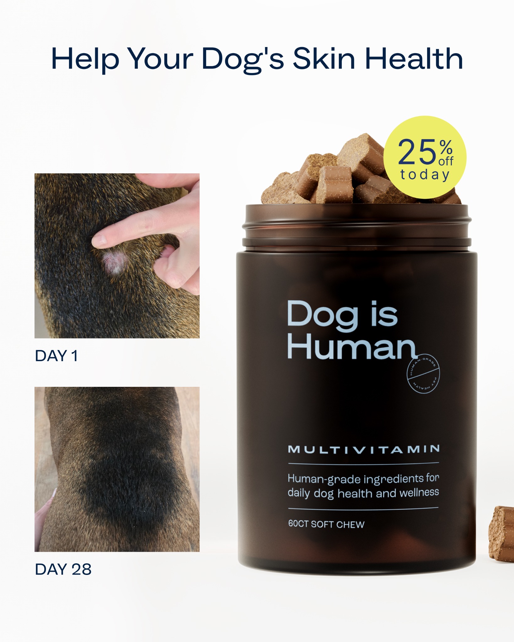 Dog is Human Facebook ad