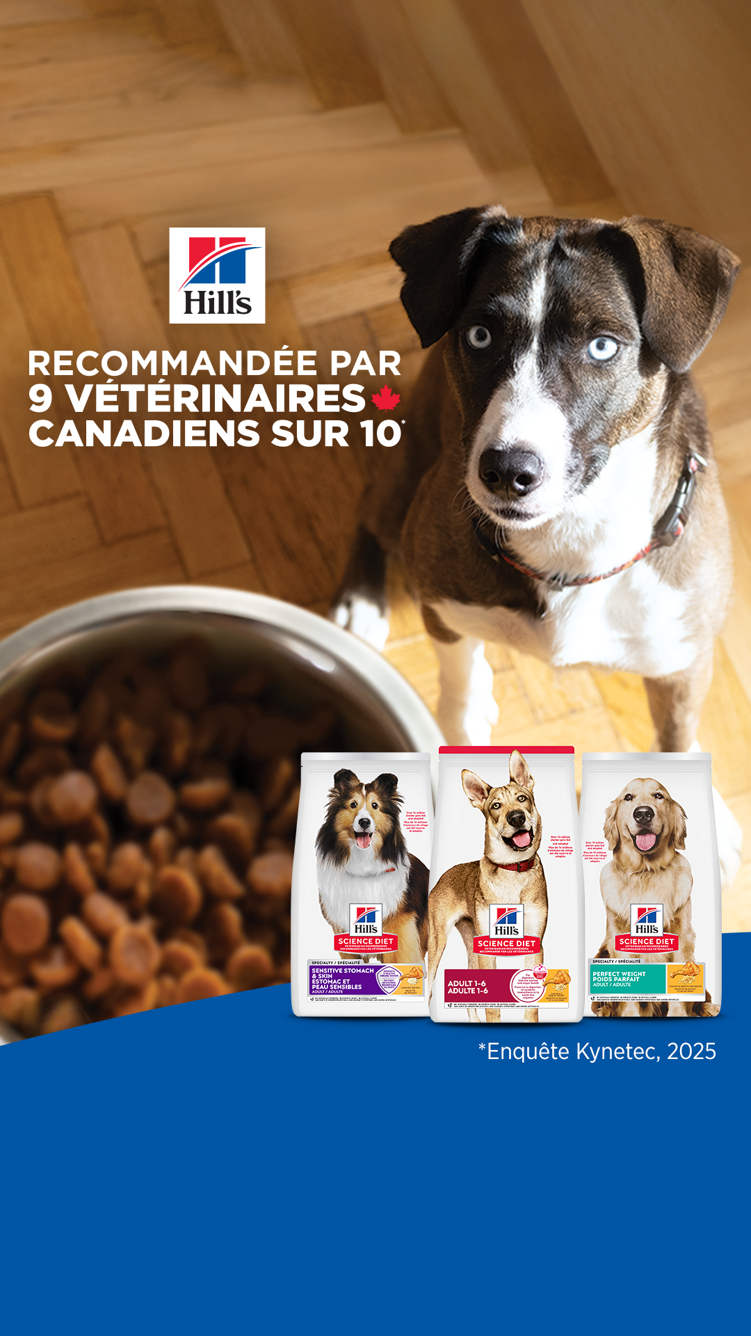 Hill’s Pet Nutrition Facebook ad
