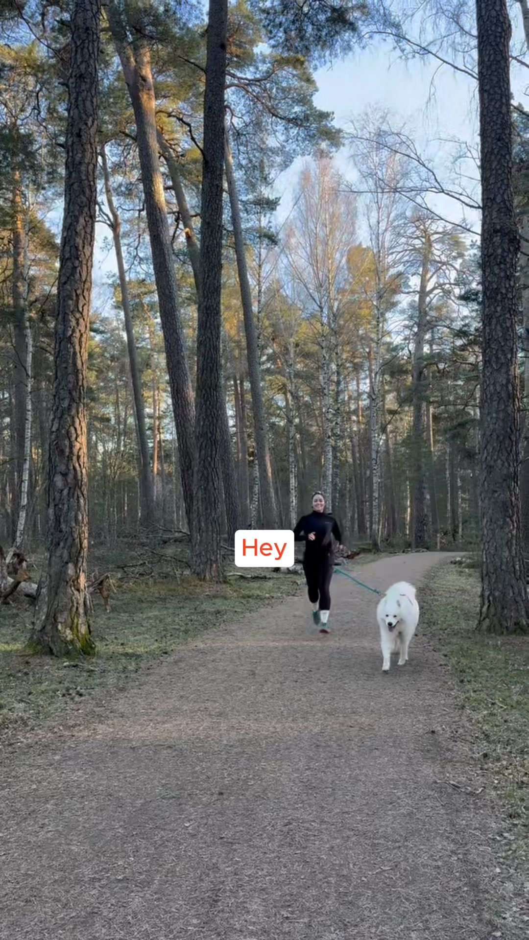 QPAWS Facebook ad: Social Dog Sports Hub! Connect & Track