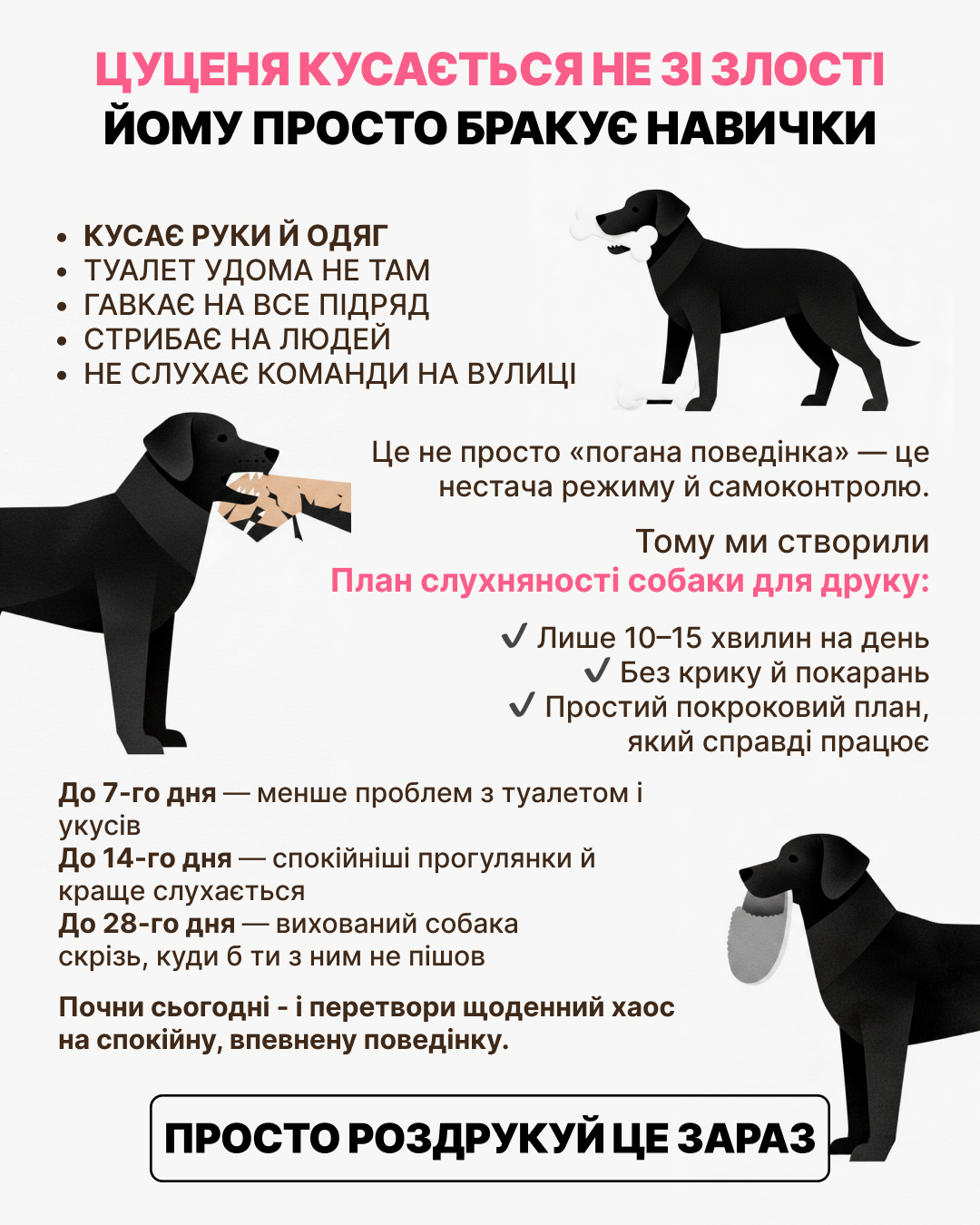 Ben Your Puppy Trainer Facebook ad