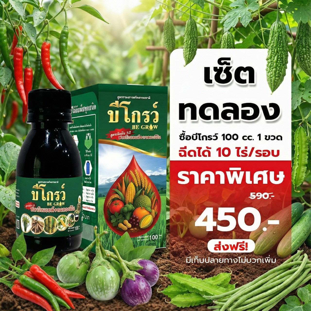 บีออแกนิคโกรว์ โดย ผู้จัดการป้อม โทร 098-1429887 หรือ 081-2692998 Facebook ad: ต้นทุนพุ่ง แต่ผลผลิตไม่พุ่งตาม