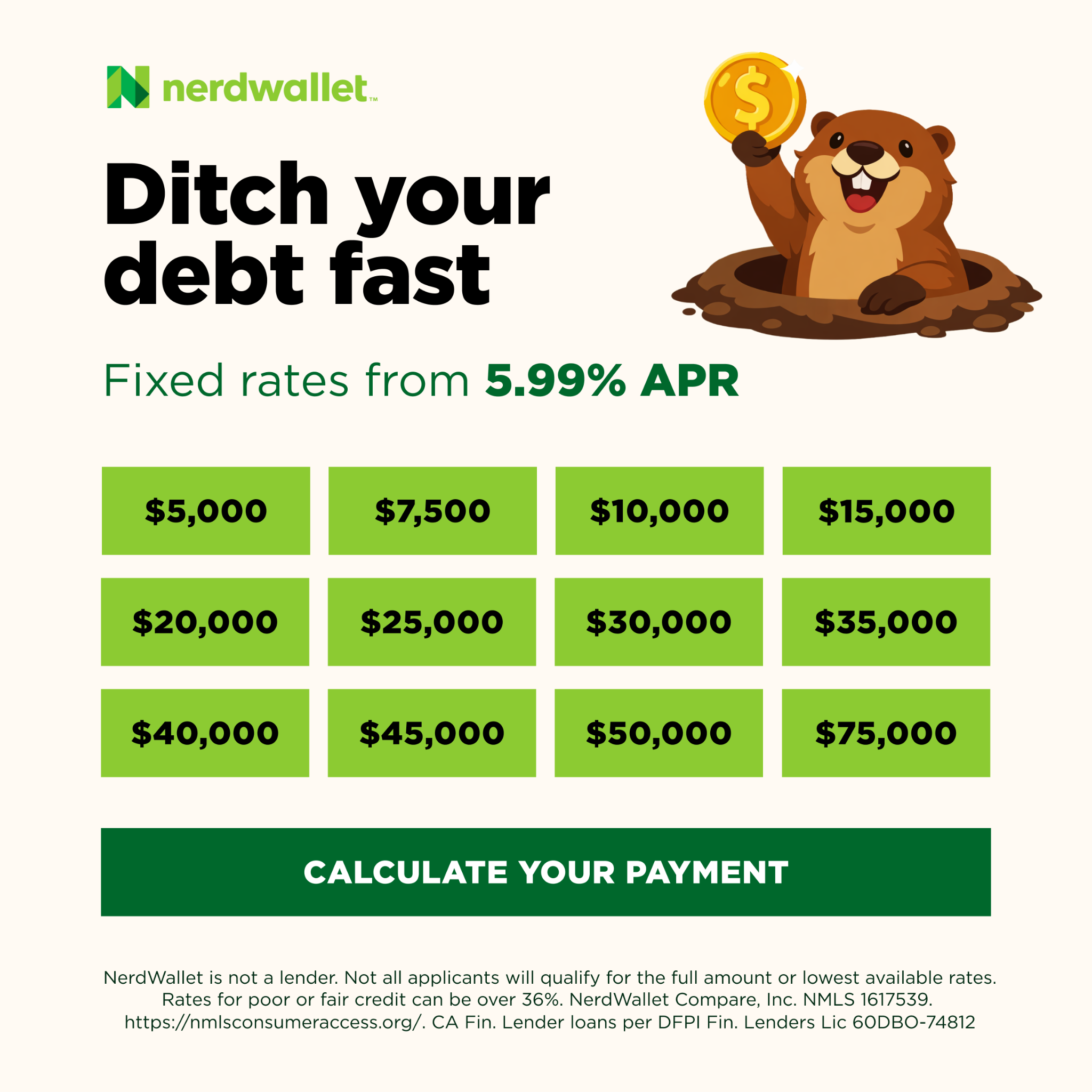 NerdWallet Facebook ad
