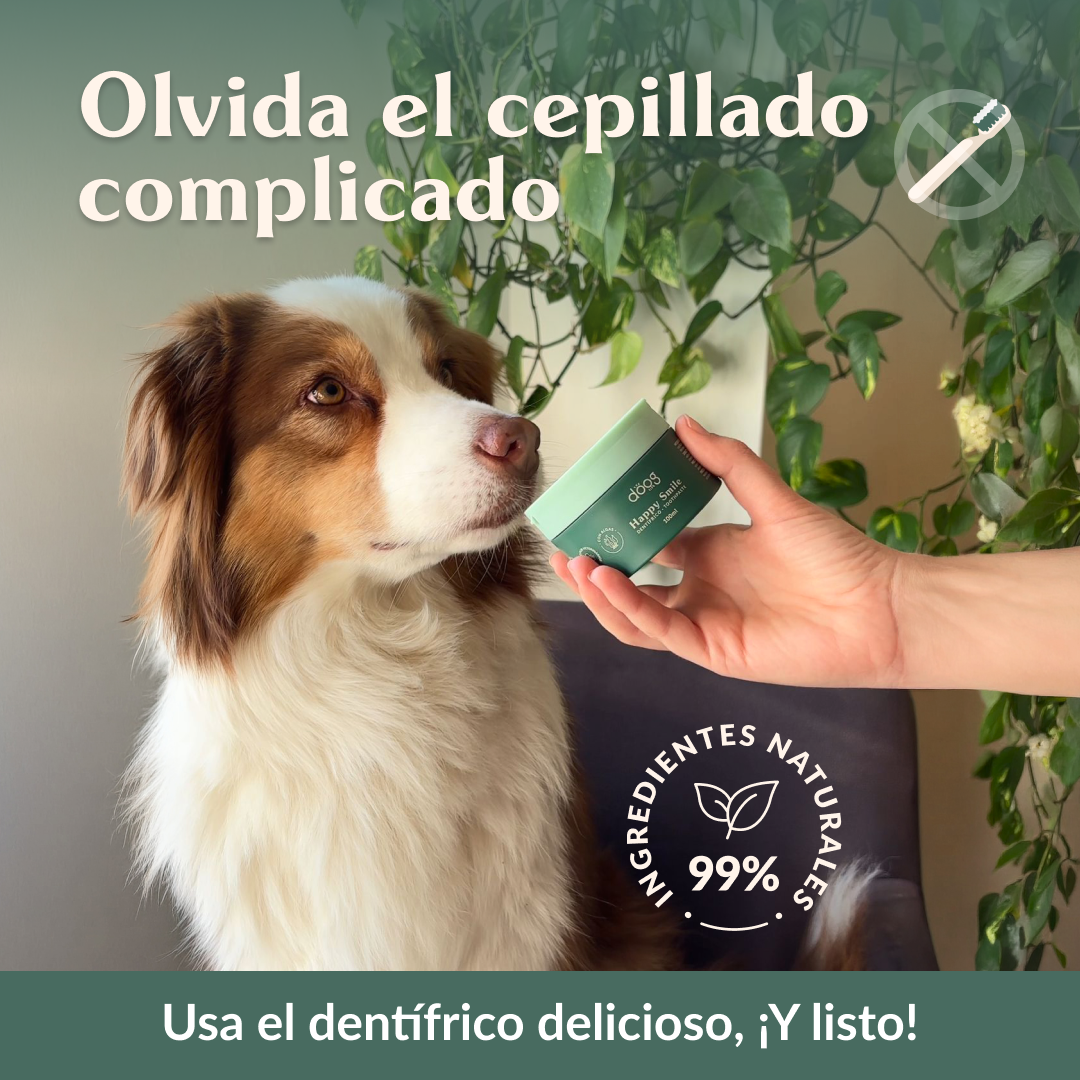 The Doog Life Facebook ad from Jun 8, 2026