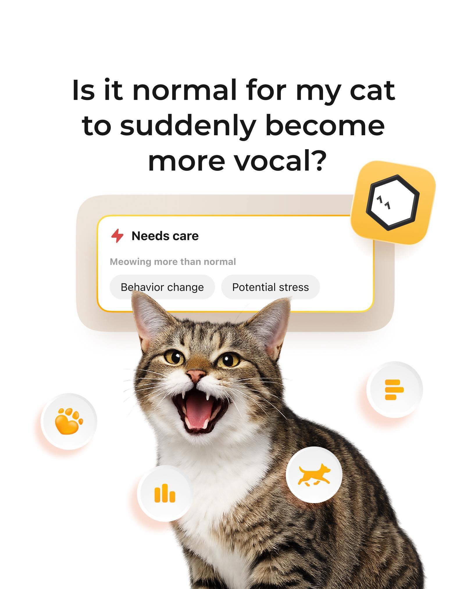 Petcube Facebook ad