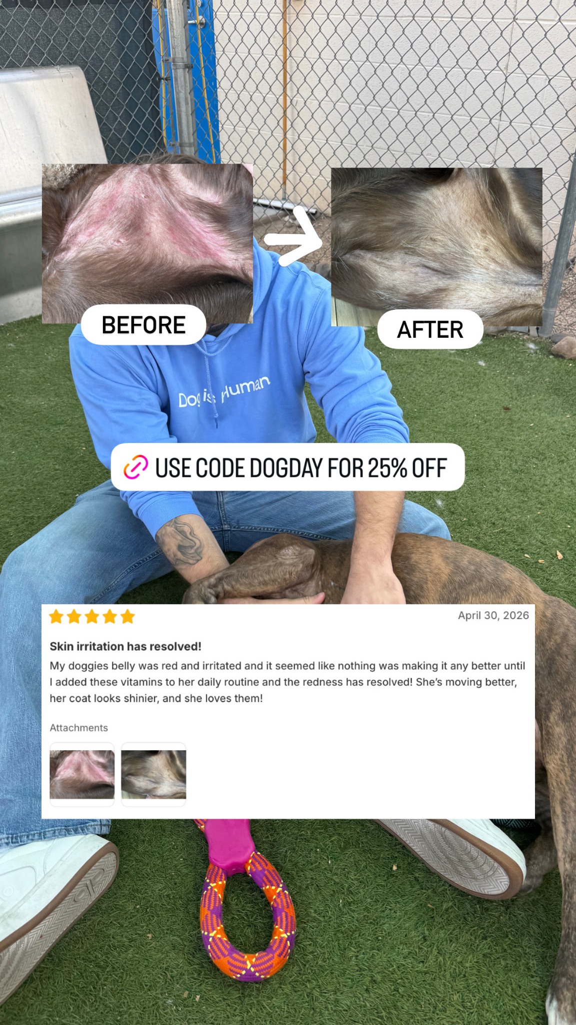 Dog is Human Facebook ad