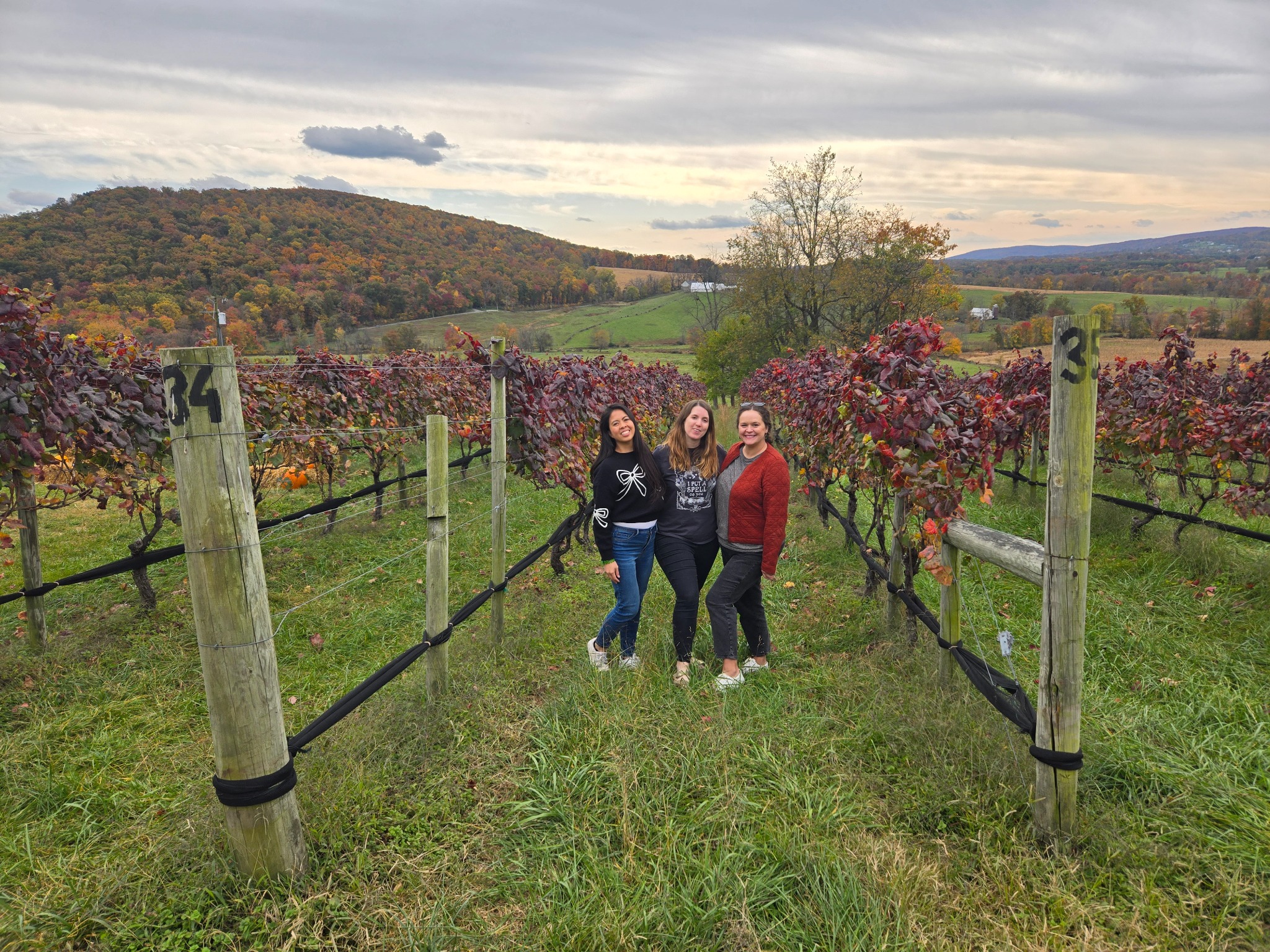 Vineyard Voyages Facebook ad from Sep 30, 2025