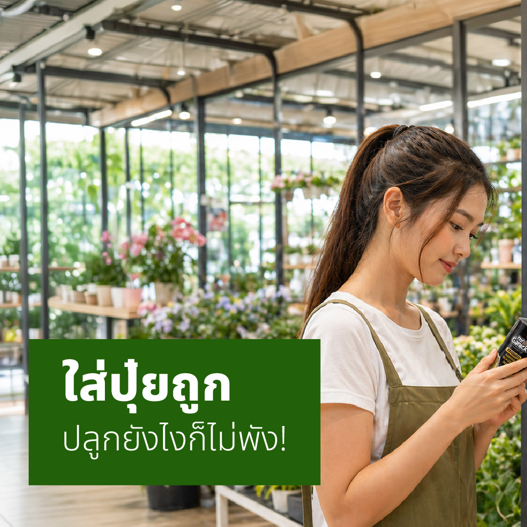 Baba Gardening _ บาบา การ์เดนนิ่ง Facebook ad