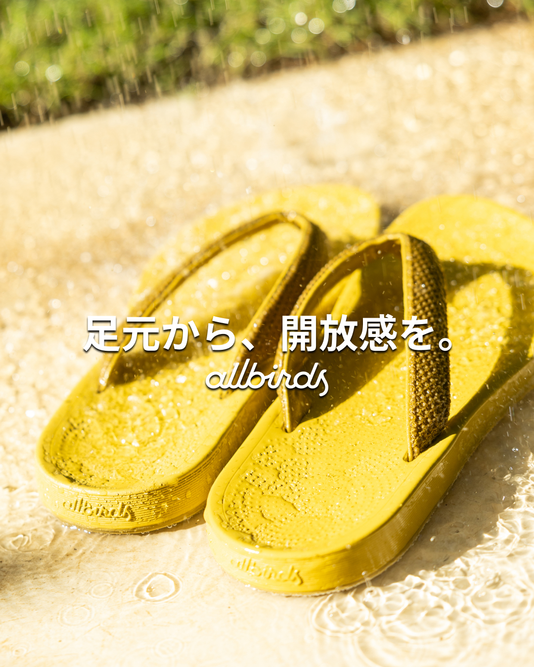 Allbirds Japan Facebook ad