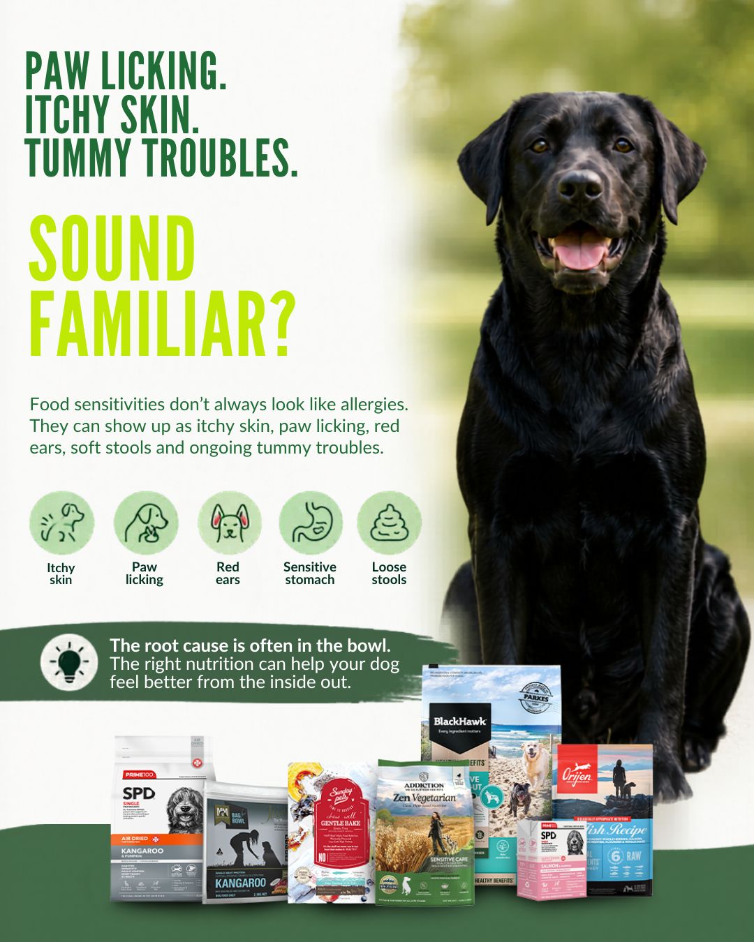 Budget Pet Products Facebook ad