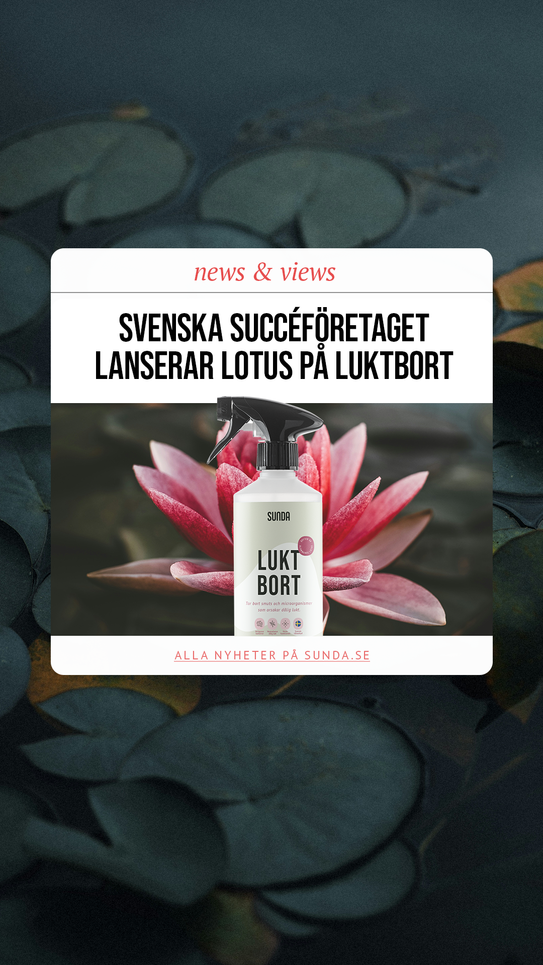 Sunda Facebook ad