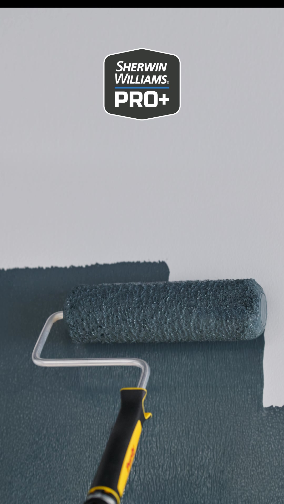 Sherwin-Williams Paint Pros Facebook ad: Discover what makes it different.
