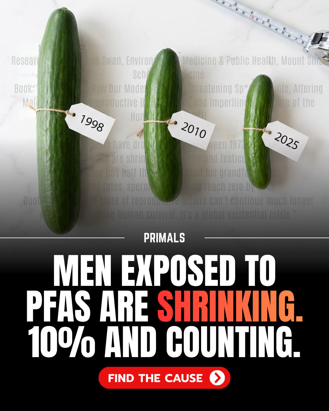 Primals King Facebook ad