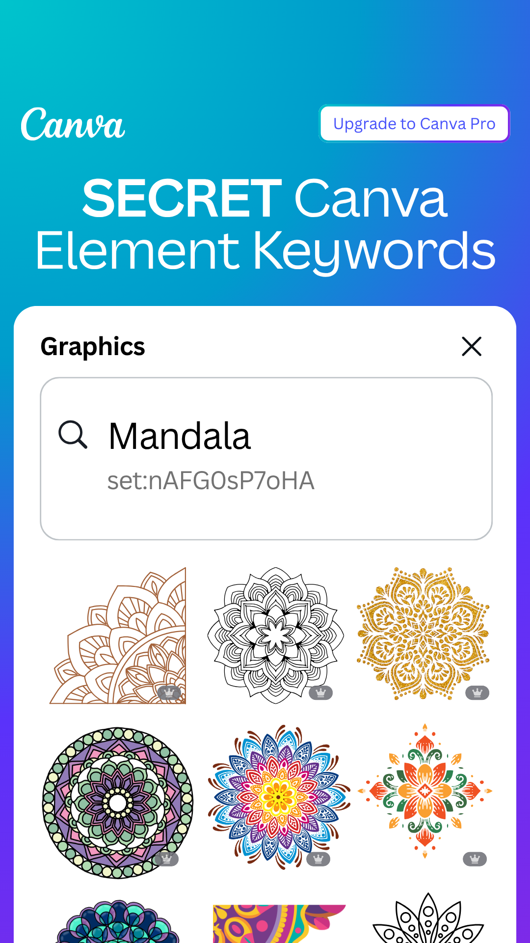 Canva Facebook ad