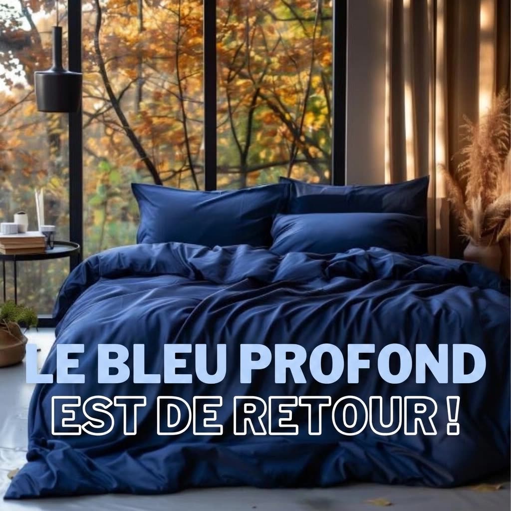 Home Swiss Facebook ad