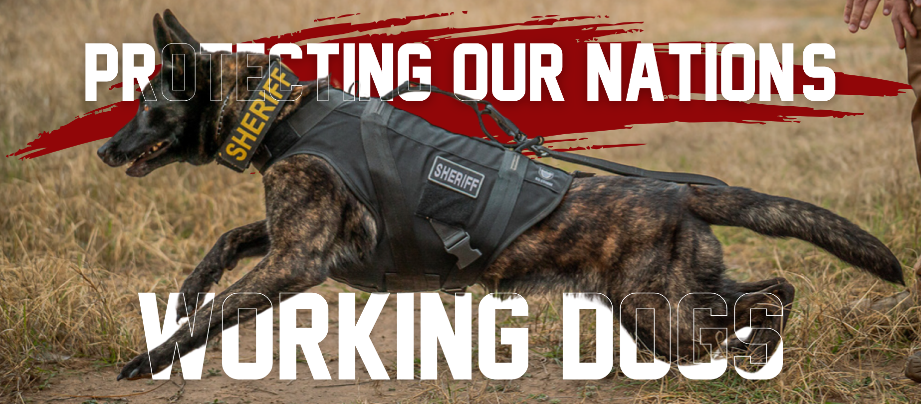 Spike's K9 Fund Facebook ad: Nonprofit for Our Nation's Working Dogs!