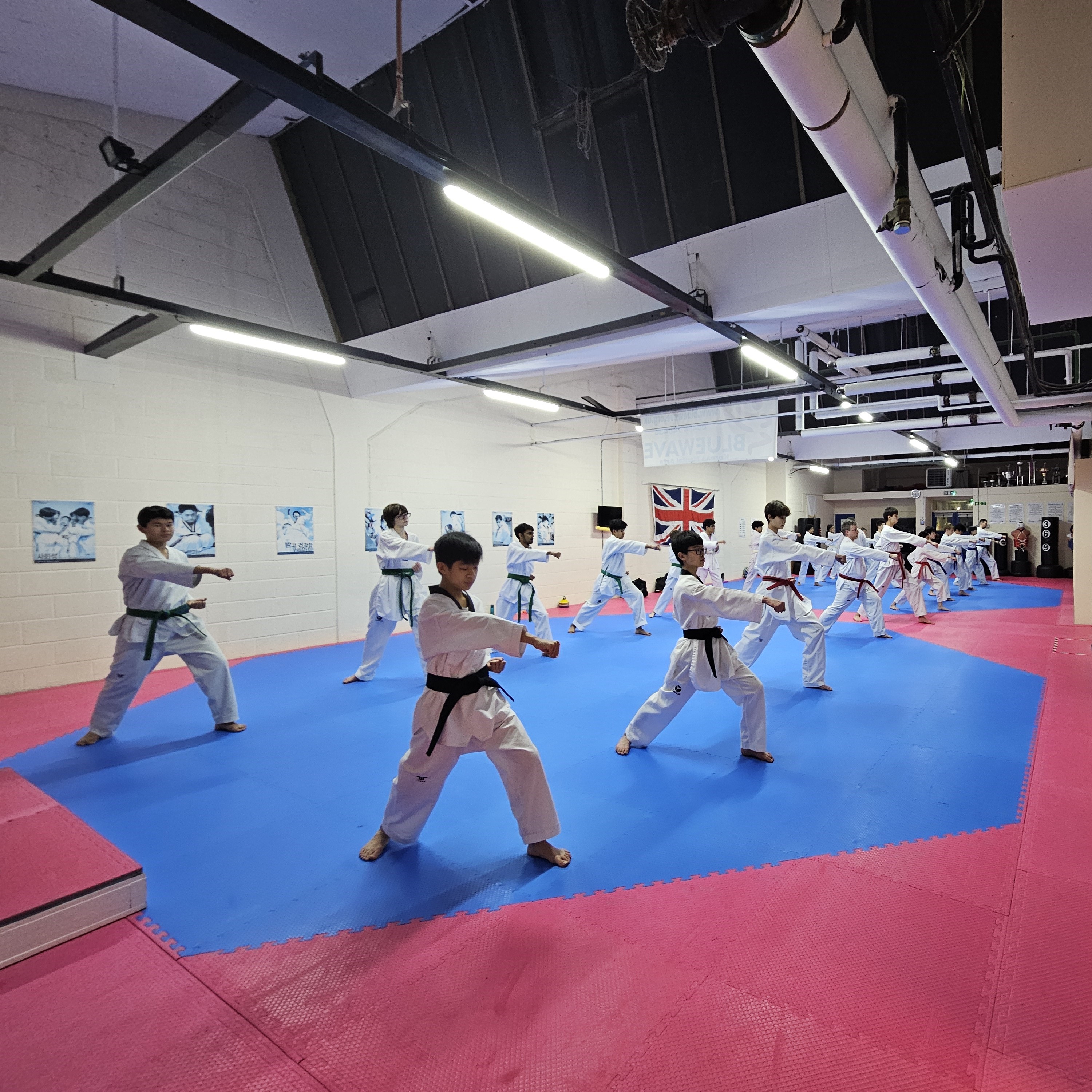Bluewave Korean Martial Arts Facebook ad