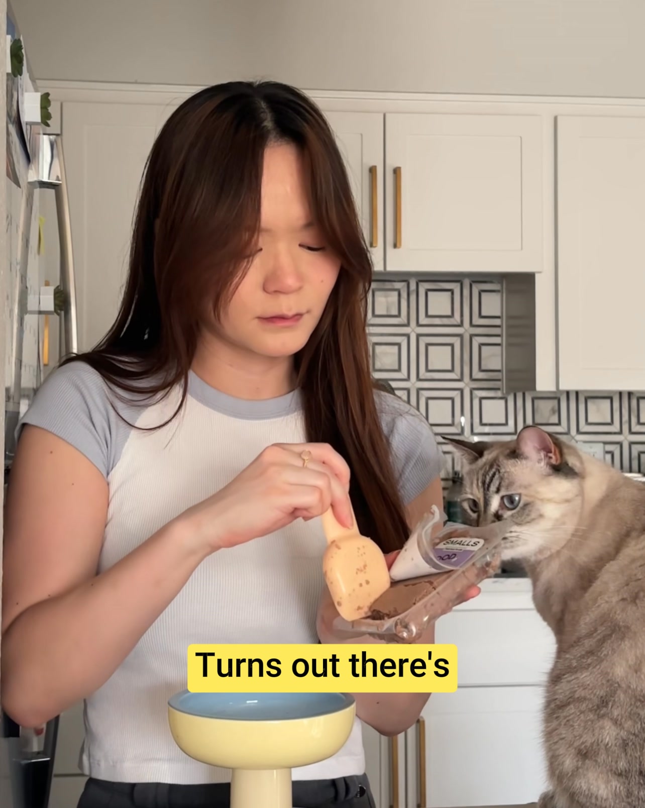 Smalls Facebook ad: Human-Grade Fresh Cat Food