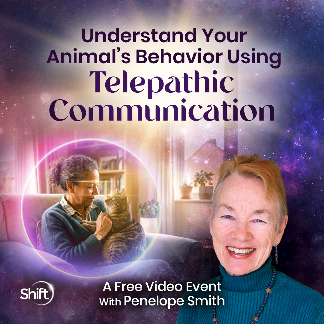 The Shift Network Facebook ad
