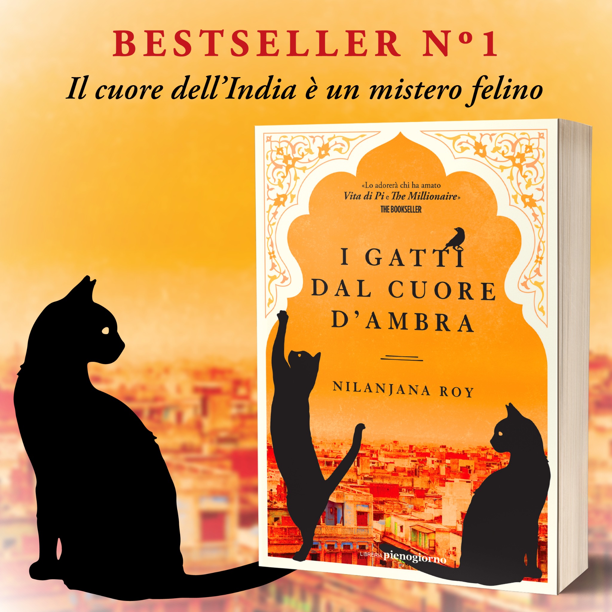 I gatti dal cuore d’ambra - Il libro Facebook ad