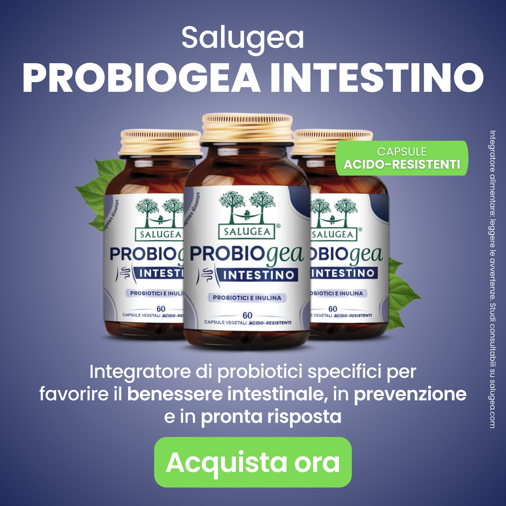 Salugea Facebook ad