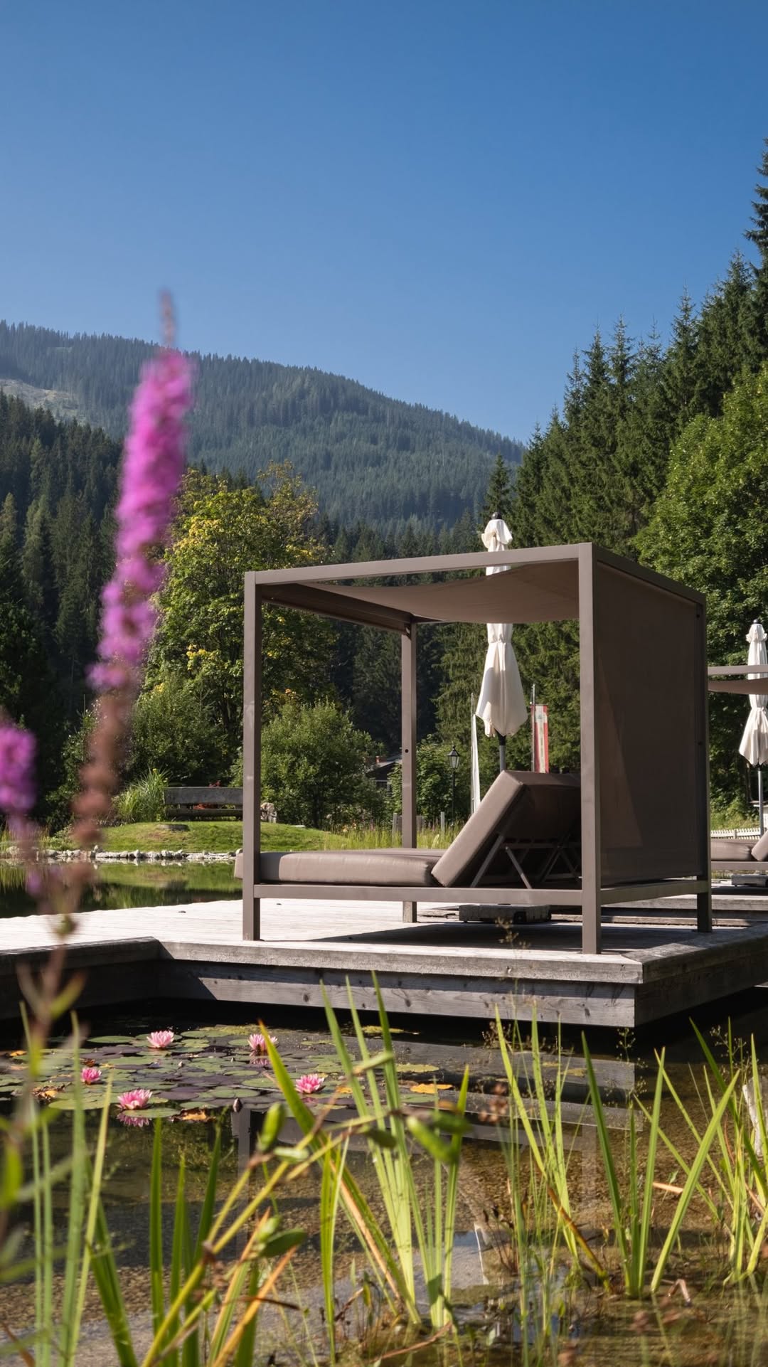 Alpenhof Filzmoos Facebook ad: Der Sommer in Filzmoos fühlt sich nach Freiheit…