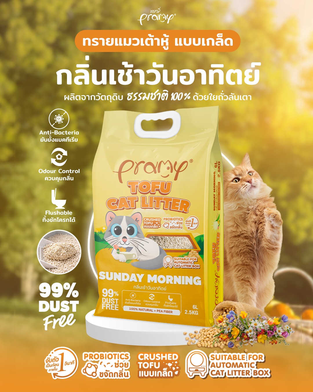 PRAMY อาหารแมวพรามี่ Facebook ad