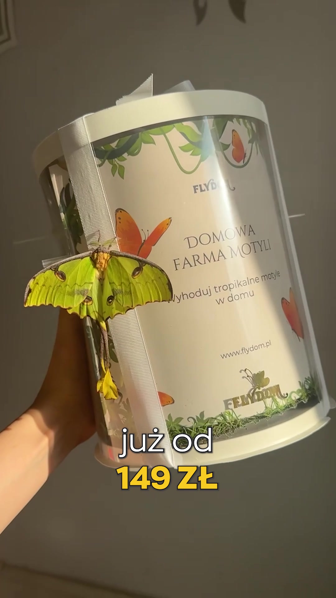 FlyDom - Domowa Farma Motyli Facebook ad: 17 zabawek vs 1 wspomnienie na zawsze