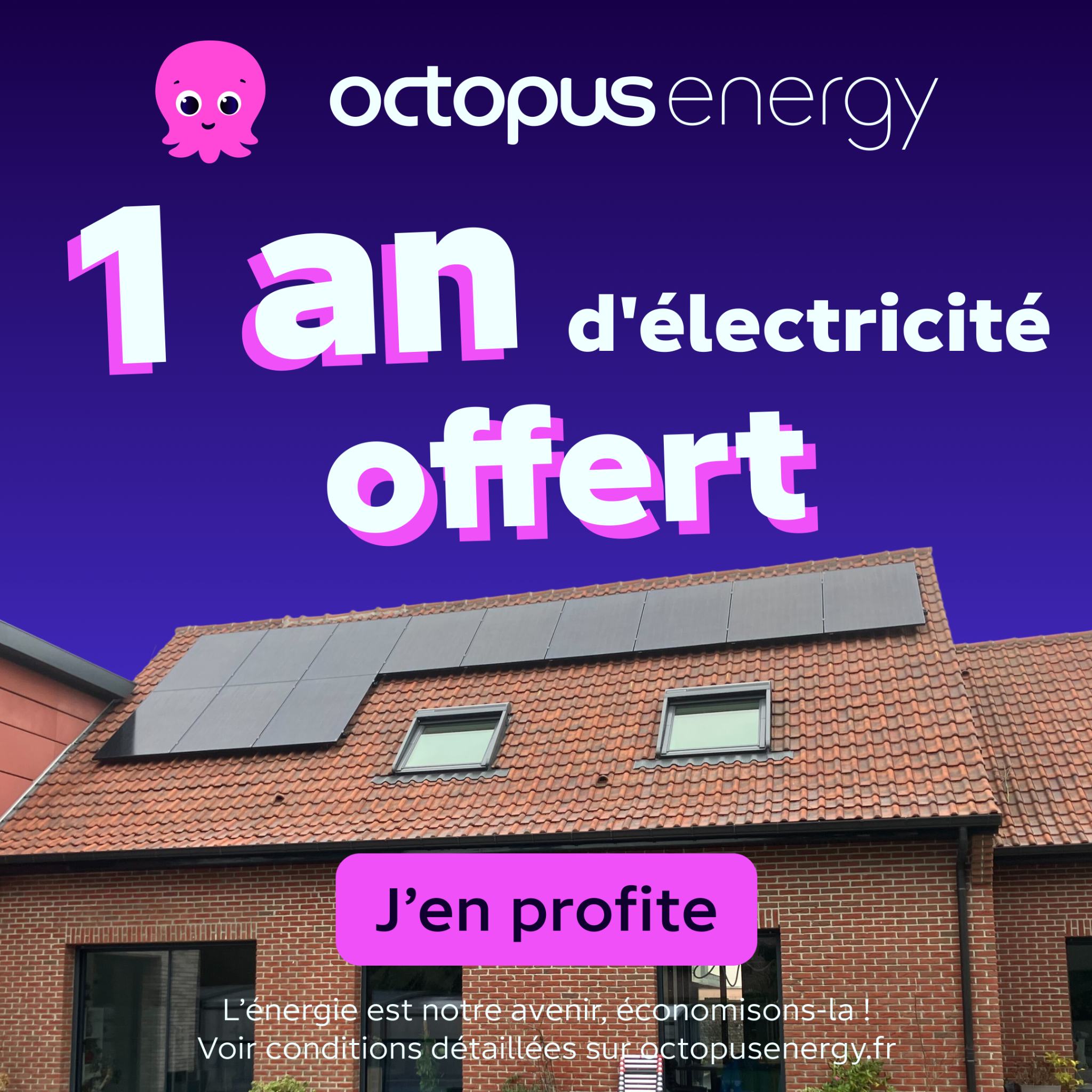 Octopus Energy Facebook ad: 1 an d'électricité offerte!