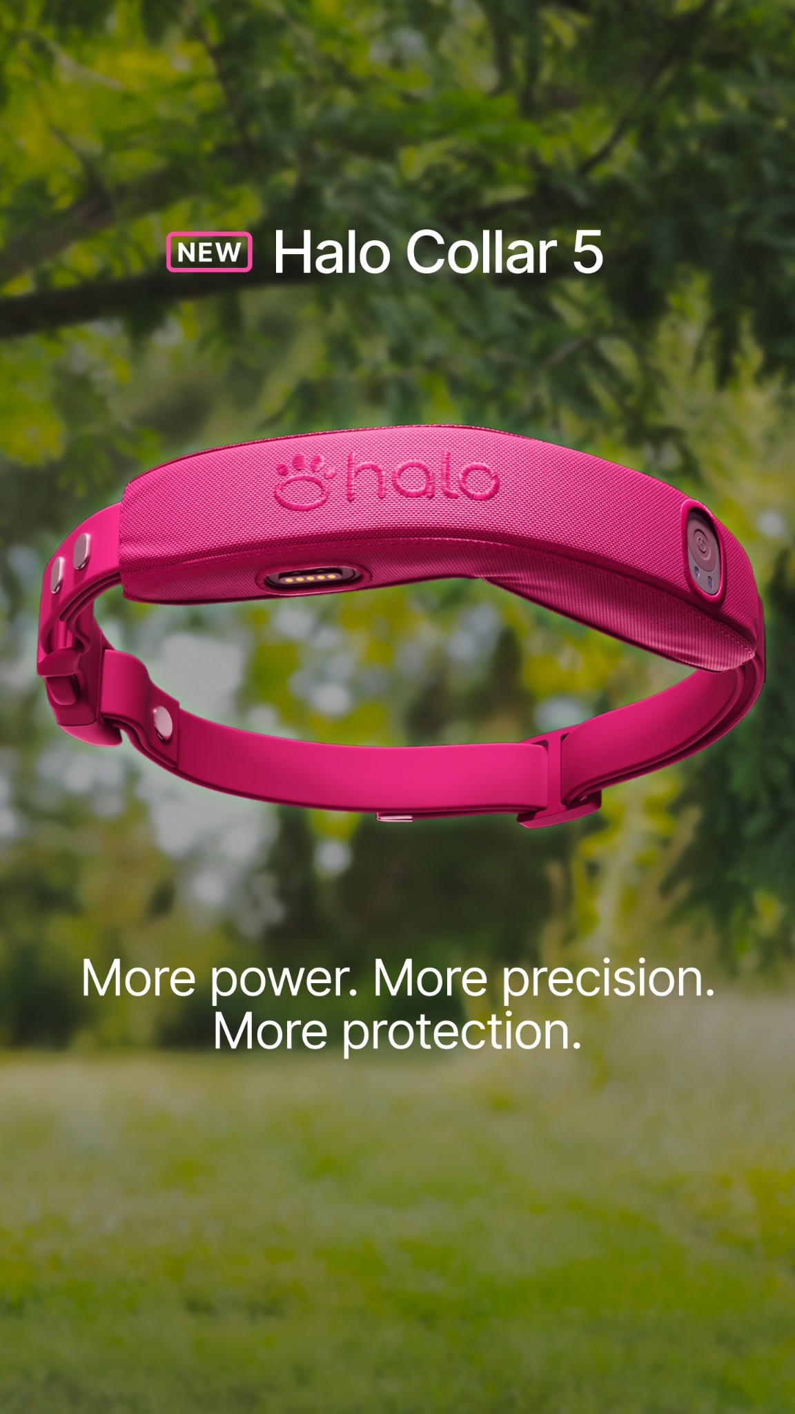 Halo Collar Facebook ad