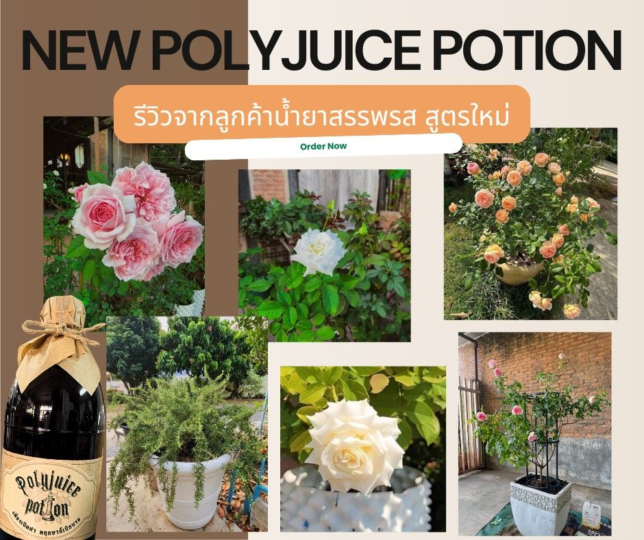 น้ำยาสรรพรสและสบู่กำมะถัน Facebook ad: ขวดเดียว ง่ายๆ บำรุงต้นก็ได้