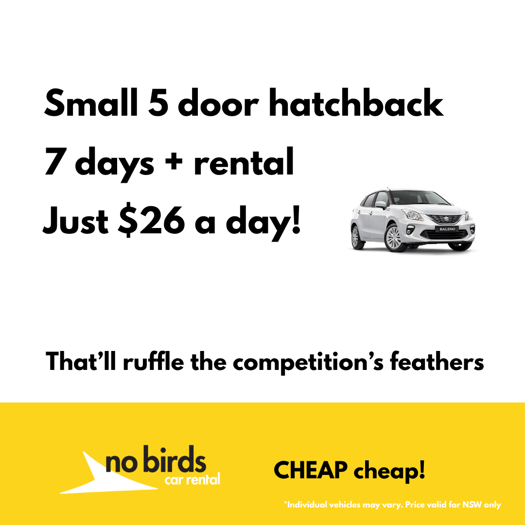 No Birds Facebook ad