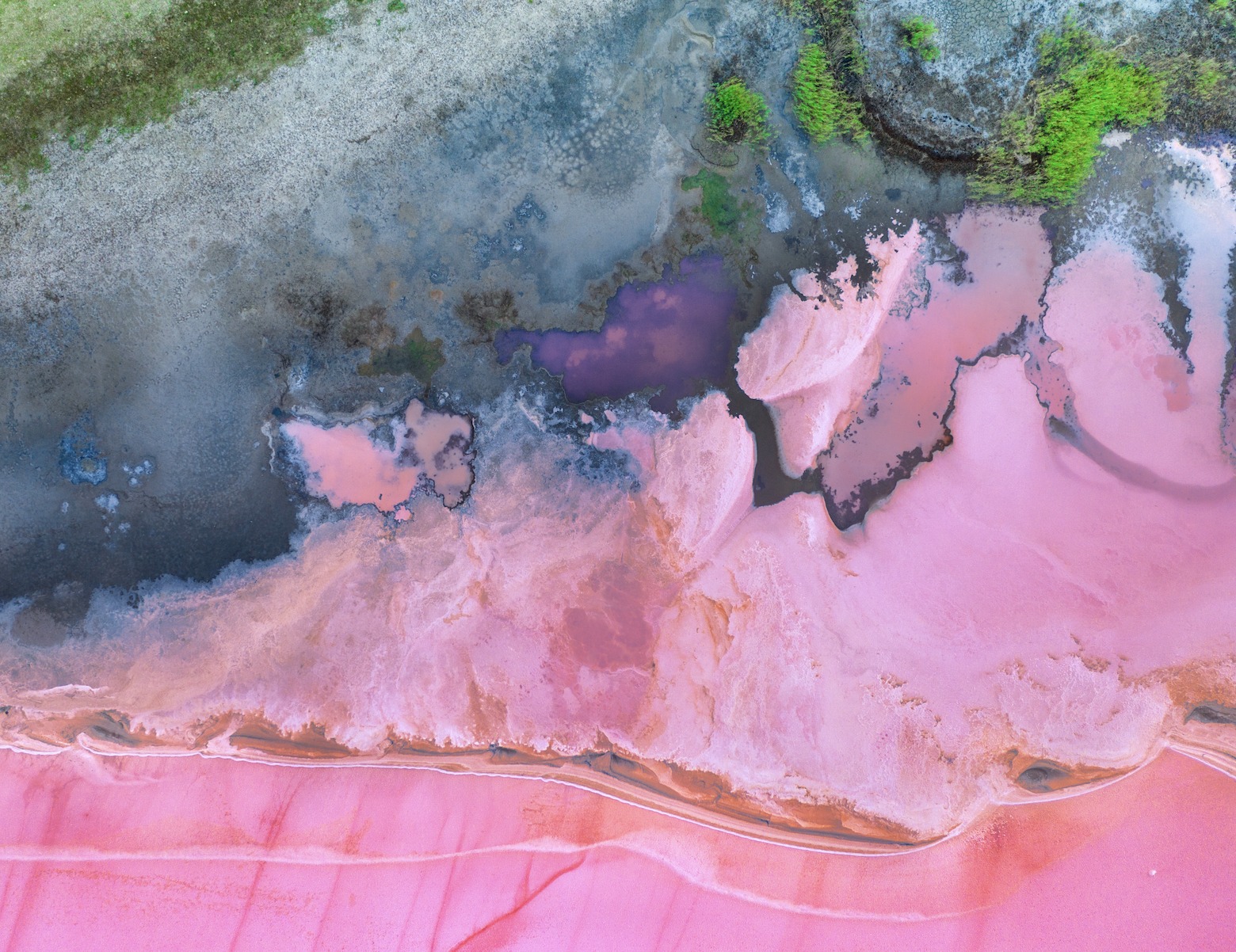 AELIA Facebook ad: Pink lakes aren’t just beautiful-they’re full of lessons…