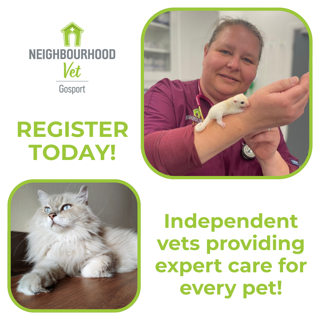 Neighbourhood Vet Gosport Facebook ad