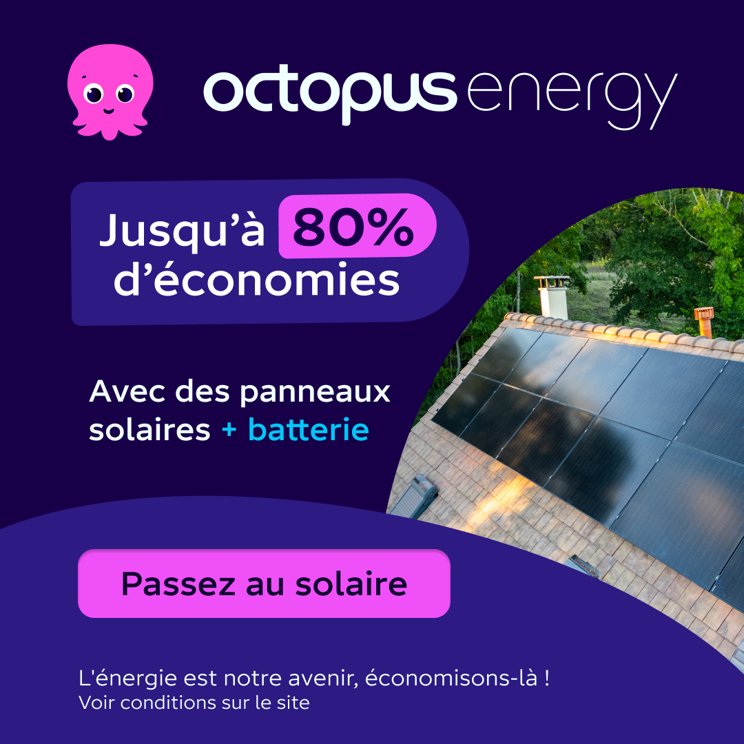 Octopus Energy Facebook ad