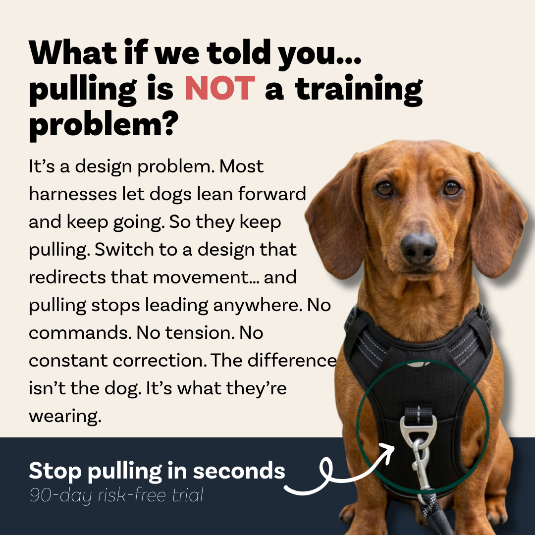 PawSafe Facebook ad