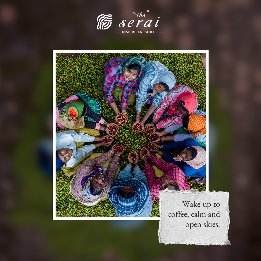 The Serai Facebook ad: Trade the city’s concrete for Chikmagalur’s coffee clouds.
