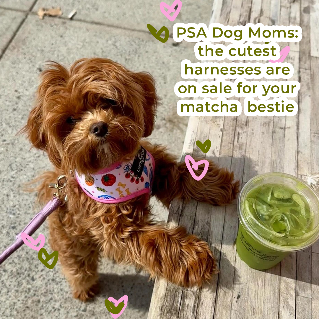 Lucy & Co. Facebook ad