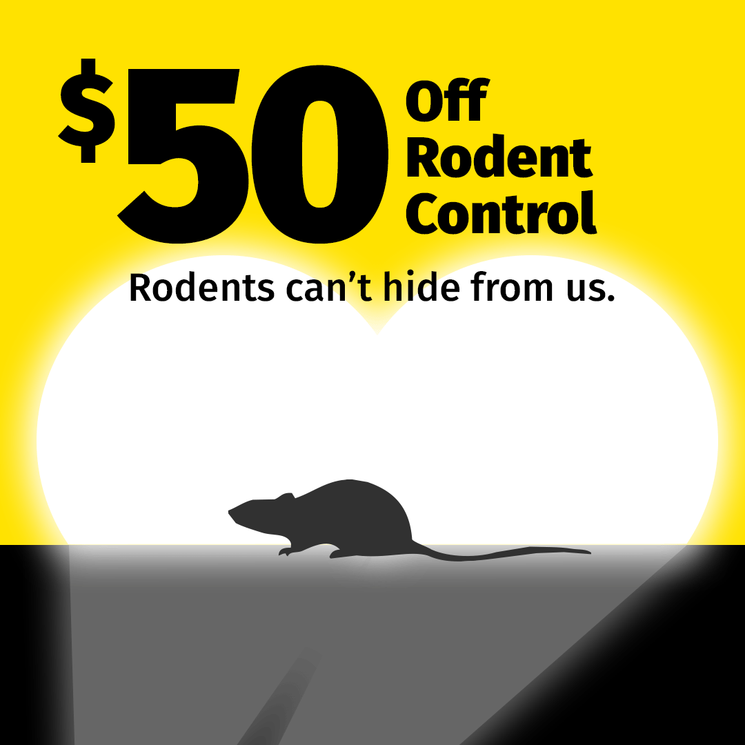 Truly Nolen Pest & Termite Control Facebook ad