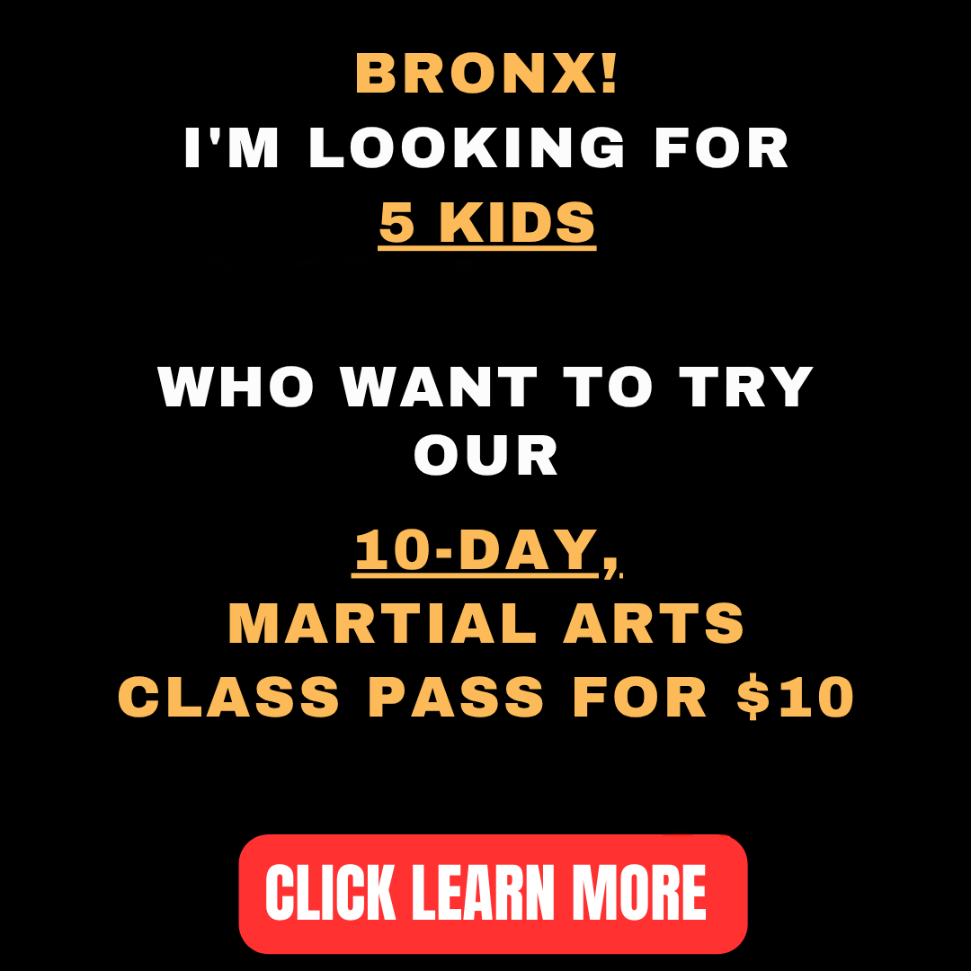 United BlackBelt Martial Arts Facebook ad: Want a 10-Day, Kids Martial Arts Class Pass For $10?