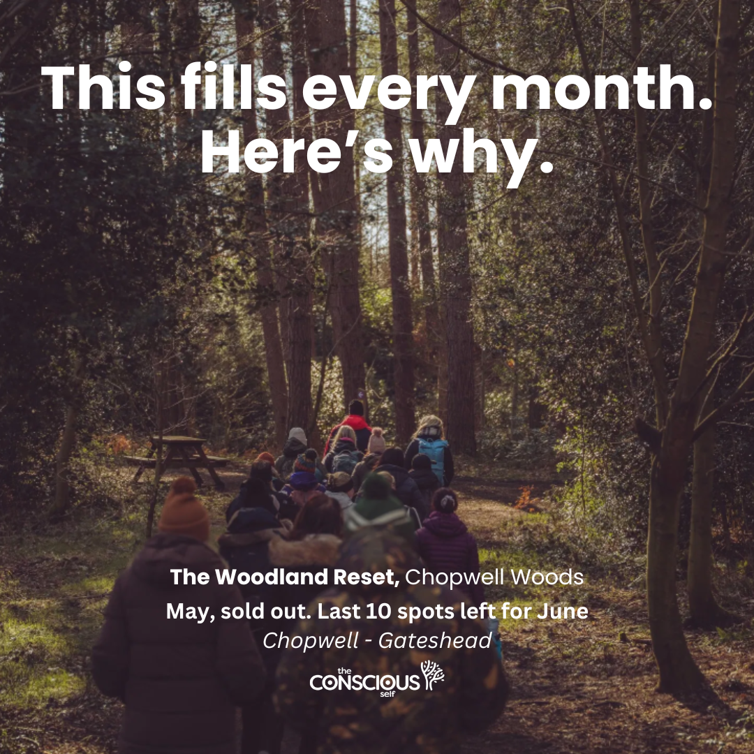 The Conscious Self Facebook ad