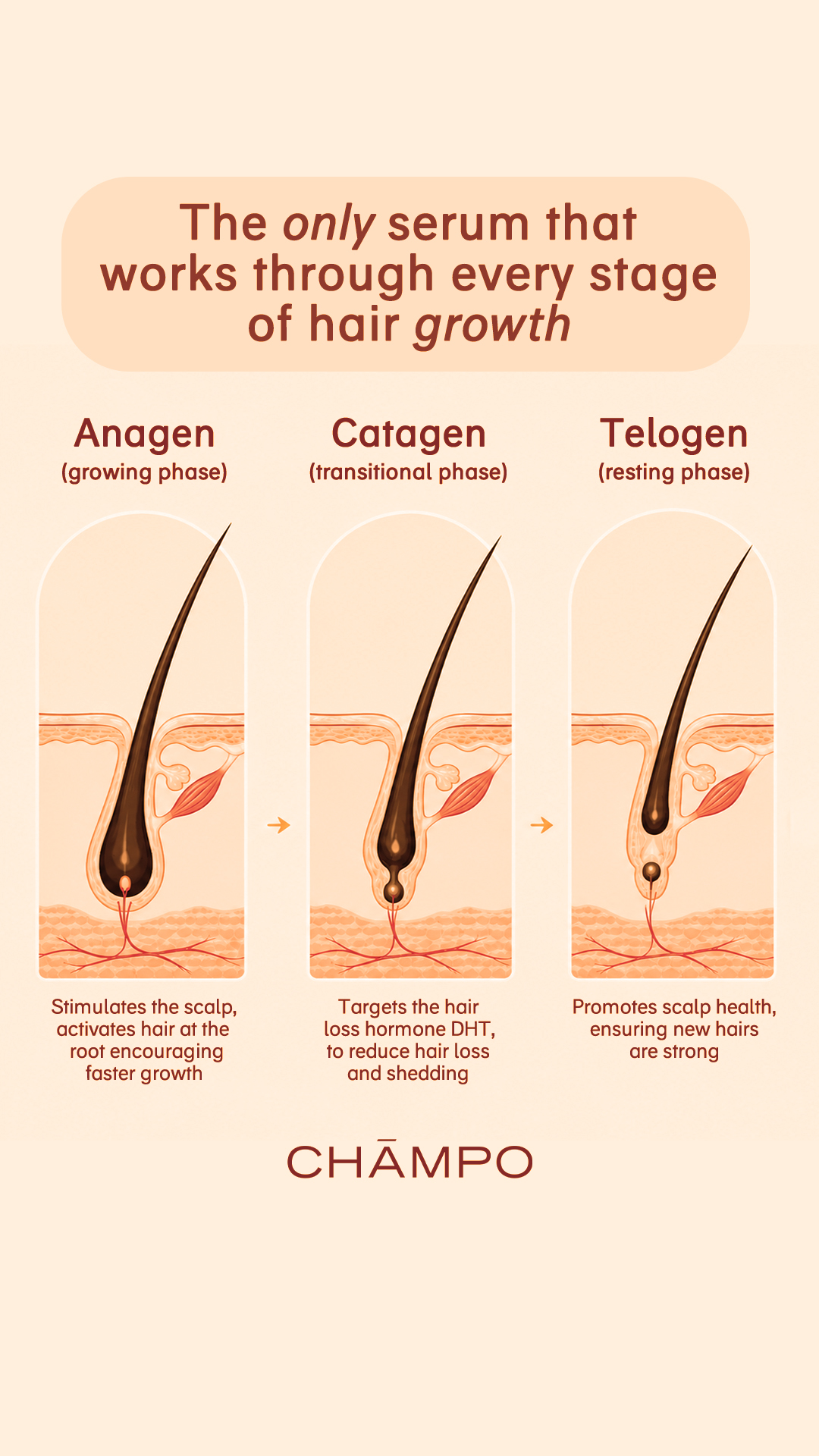 Chāmpo Haircare Facebook ad