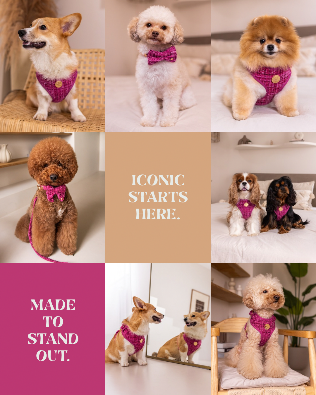 floofsandcookies Facebook ad: The Chloe Collection
