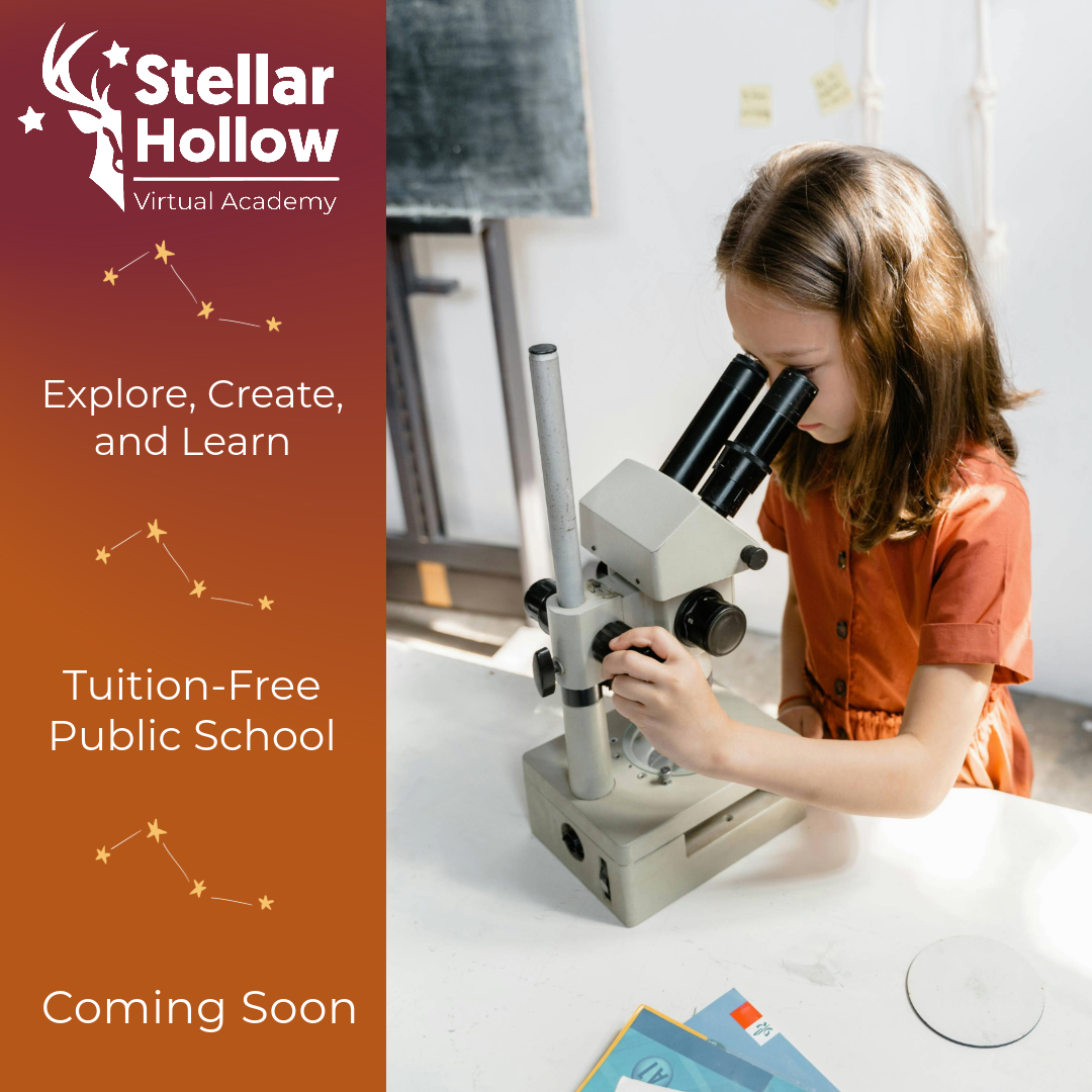 Stellar Hollow Virtual Academy Facebook ad