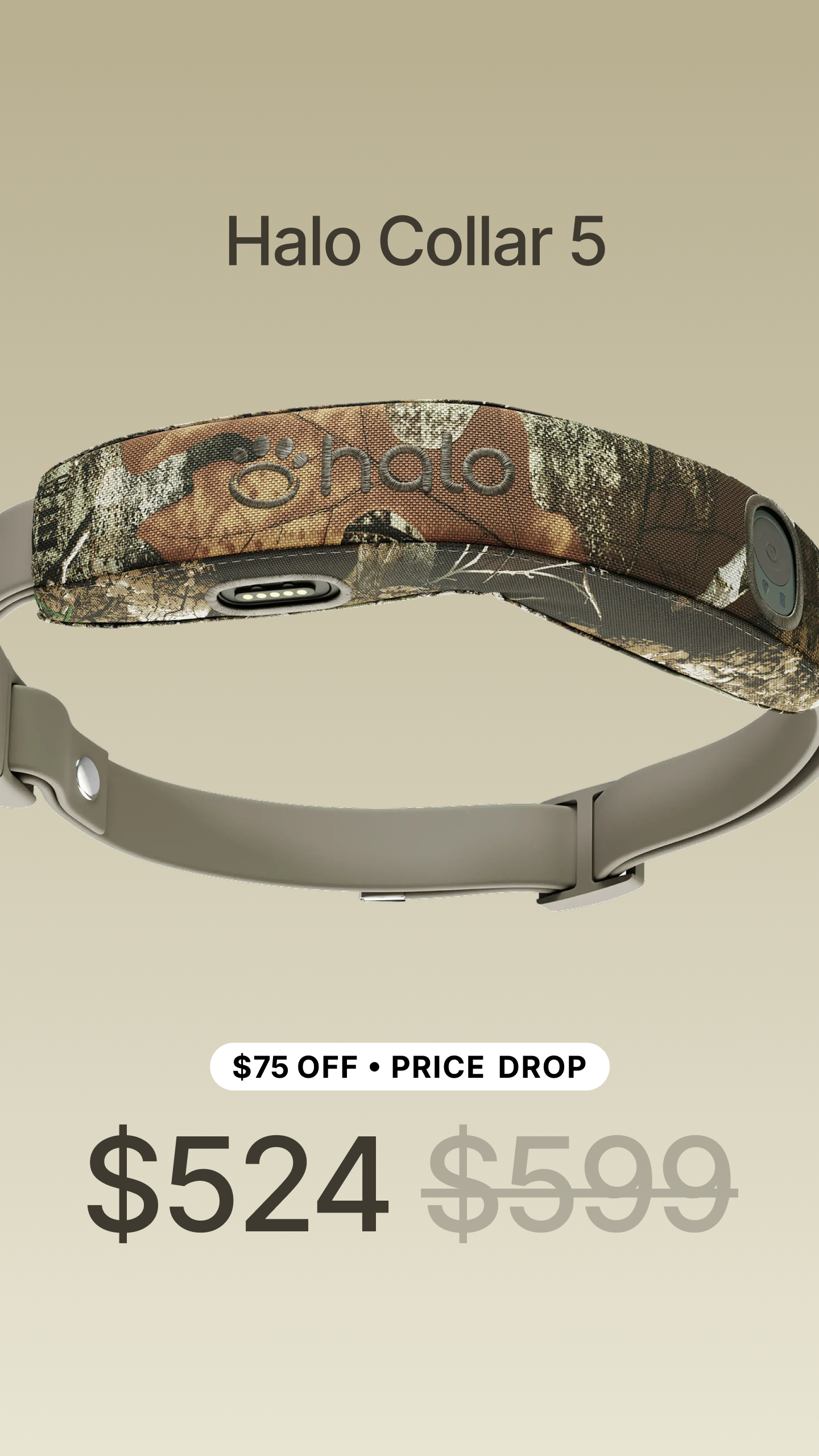 Halo Collar Facebook ad