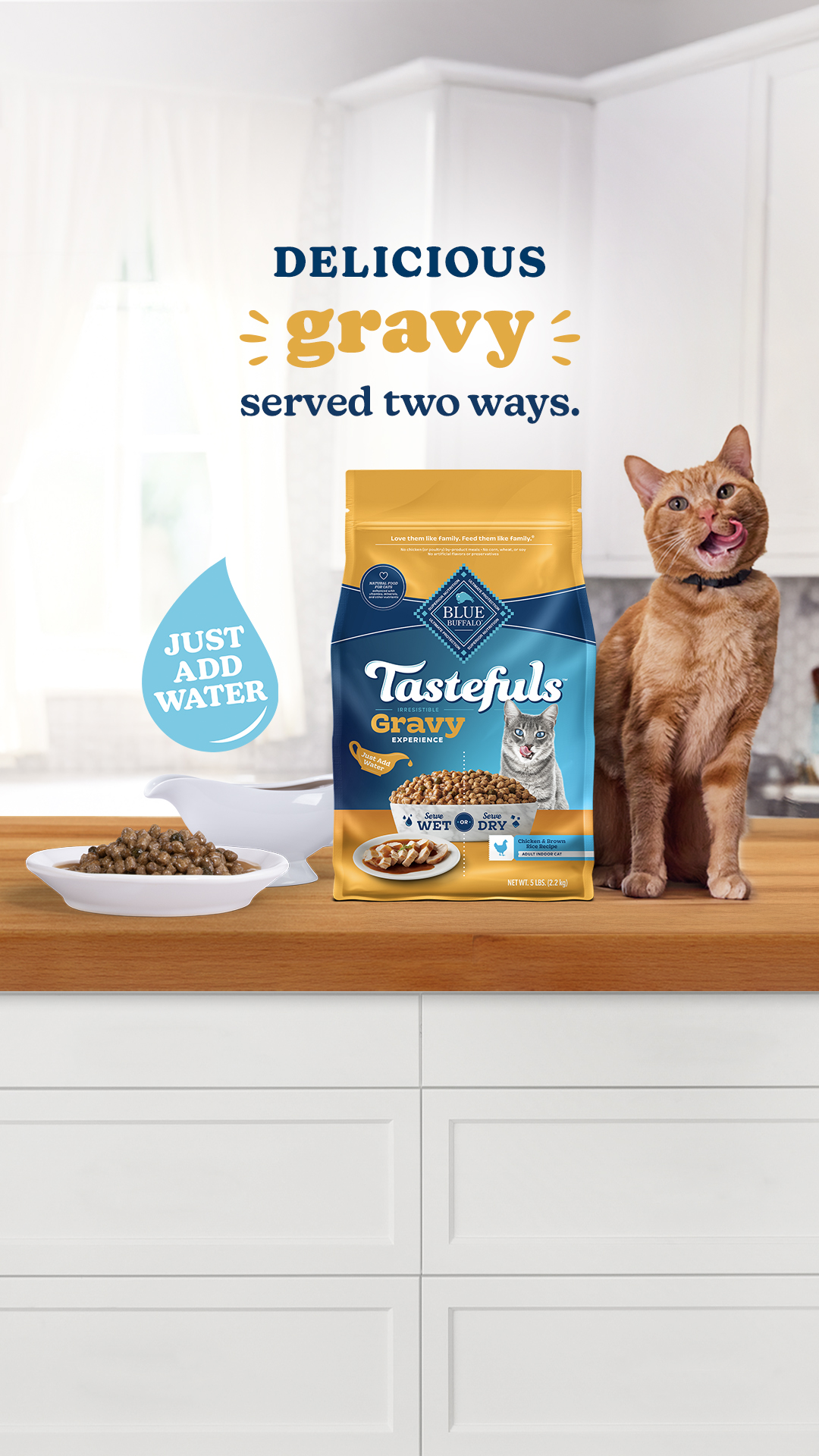 Blue Buffalo Facebook ad
